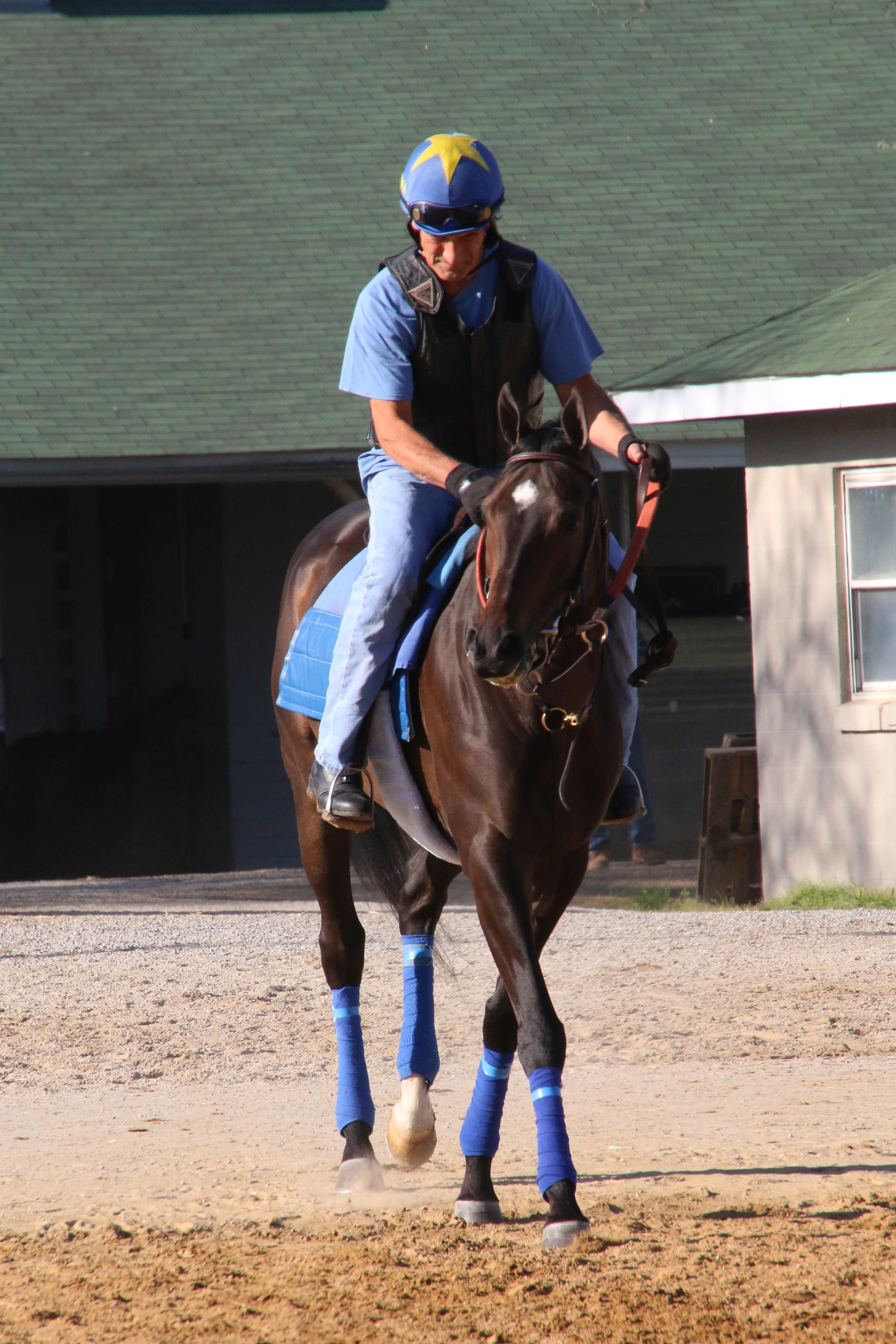 Sanchez and Bobby the Brain enter the track.